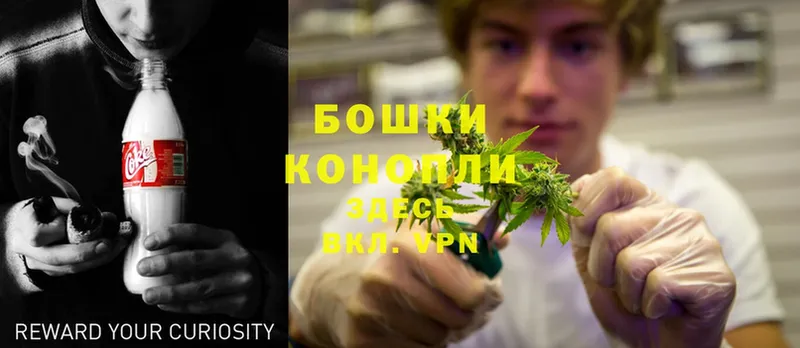 маркетплейс формула  Рыльск  Бошки марихуана SATIVA & INDICA 